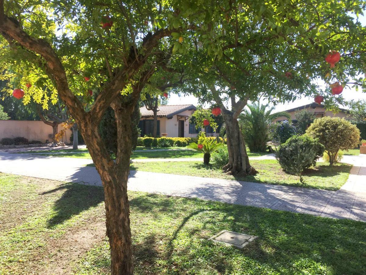 Apartment Domus Leonardo-private Free Parking