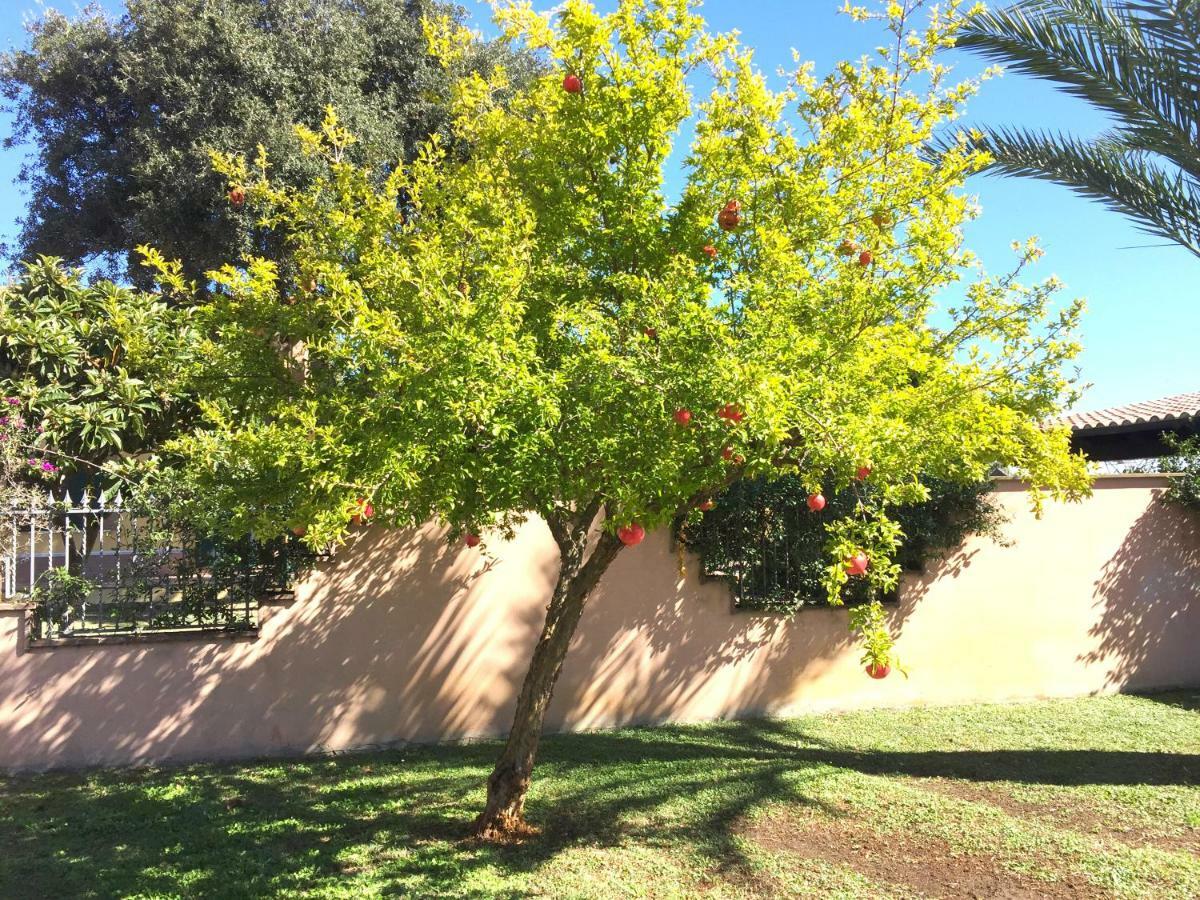 Apartamento Domus Leonardo-private Free Parking Fiumicino